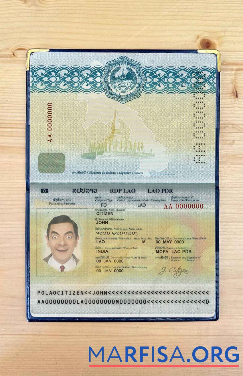 Printable Laos passport photo look example